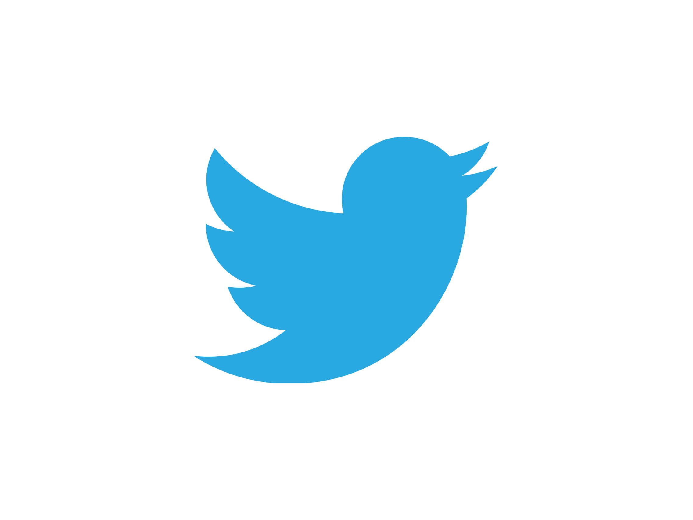 Twitter logo bird logo 2012